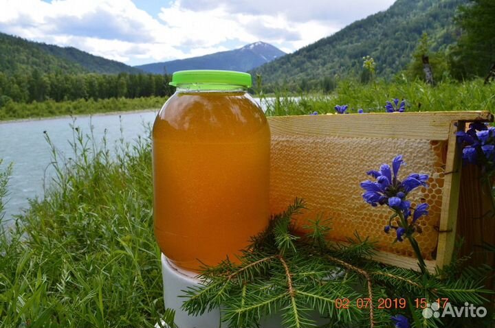 Мед Лесной опт