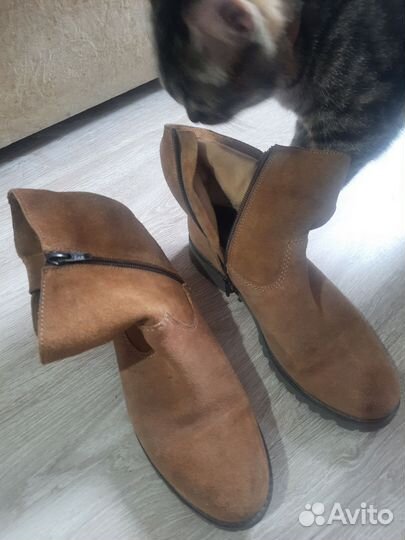 Полусапожки натуральная замша