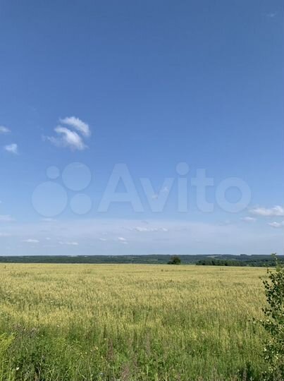 Участок 67 сот. (СНТ, ДНП)