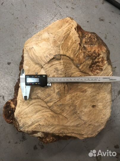 Кап березовый