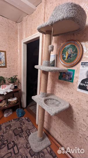 Когтеточка