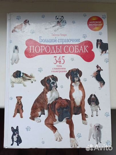 Справочник Породы собак