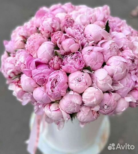 Пионы Букет пионов Доставка цветов