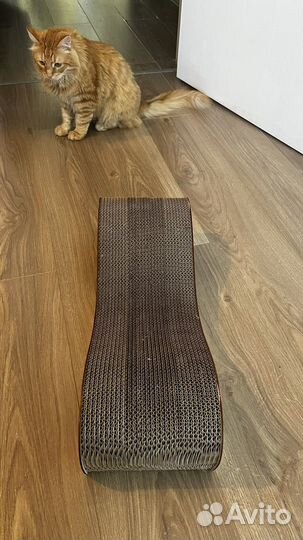 Когтеточка картонная для кошки