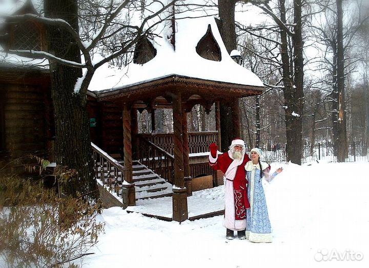 Дедушка Мороз и Снегурочка на Дом. На работу