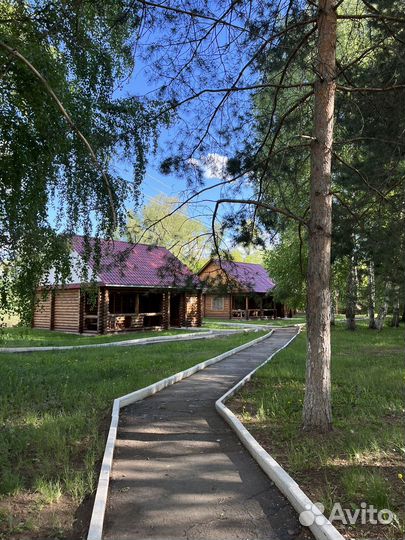 Аренда кафе на базе отдыха