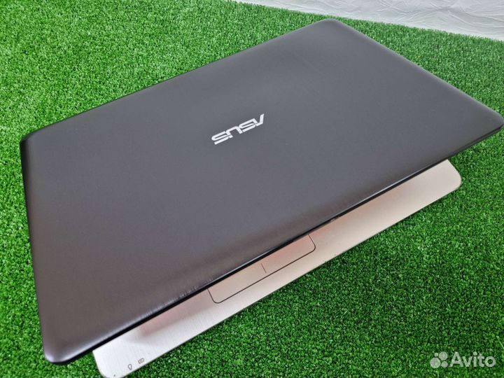 Asus 15.6