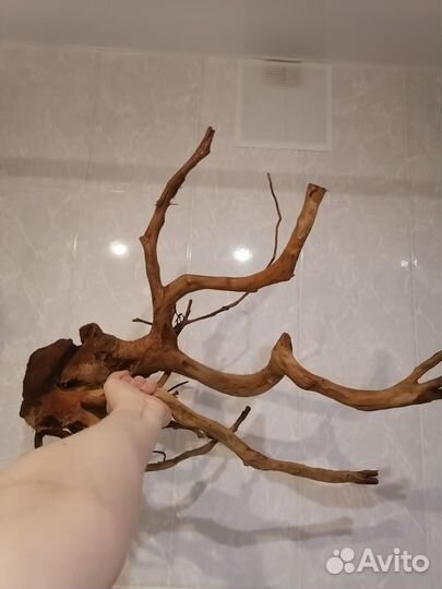 Коряги для аквариума