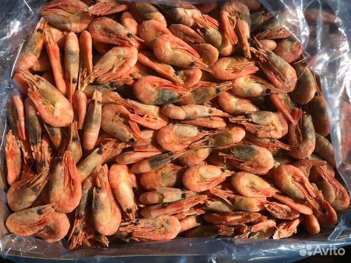 Креветка северная 90 120
