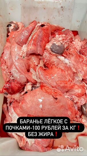 Мясо для собак