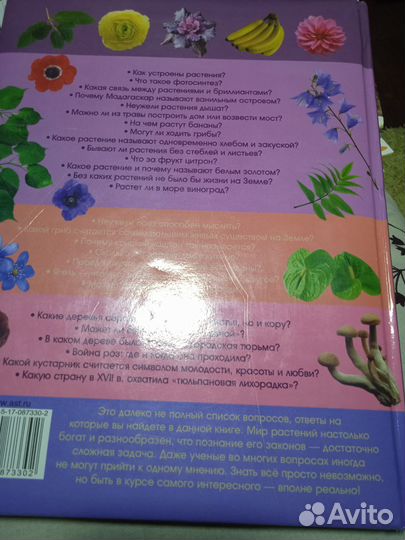 Энциклопедия