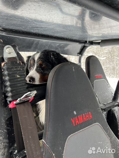 Yamaha wolverine rmax 4 rassamaha