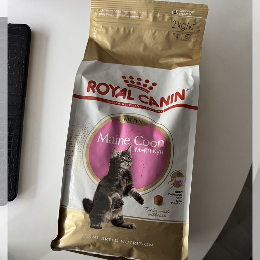 Royal Canin Kitten для котят породы Мейн Кун