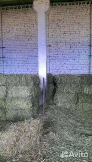 Сено и Стружка в тюках Оптом