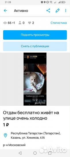 Отдам бесплатно в хорошие руки