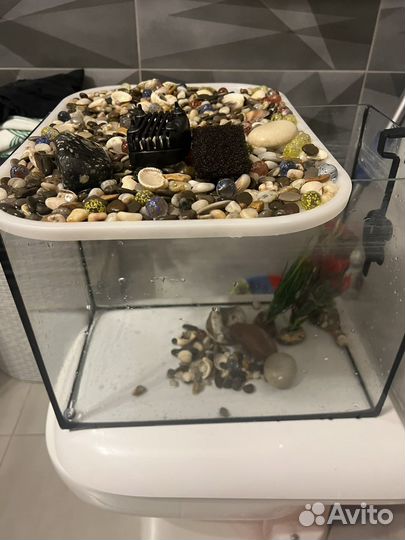 Аквариум