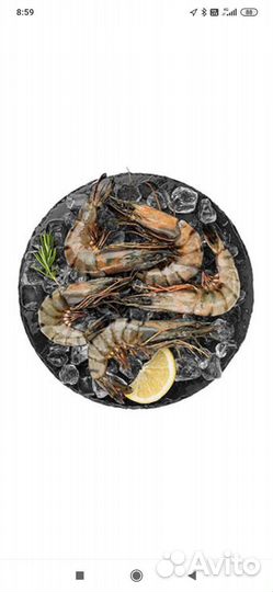 Тигровые креветки