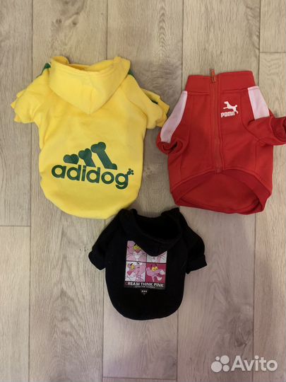 Одежда для собак