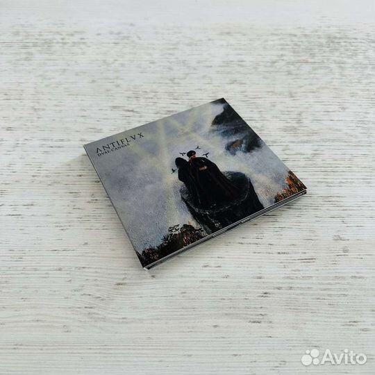 CD Antiflvx 