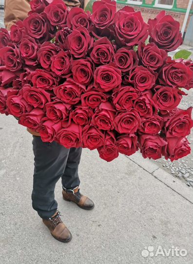Розы, букет цветов 51 шт