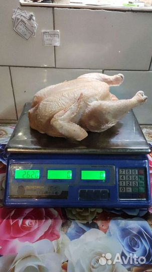 Мясо домашнего бройлера