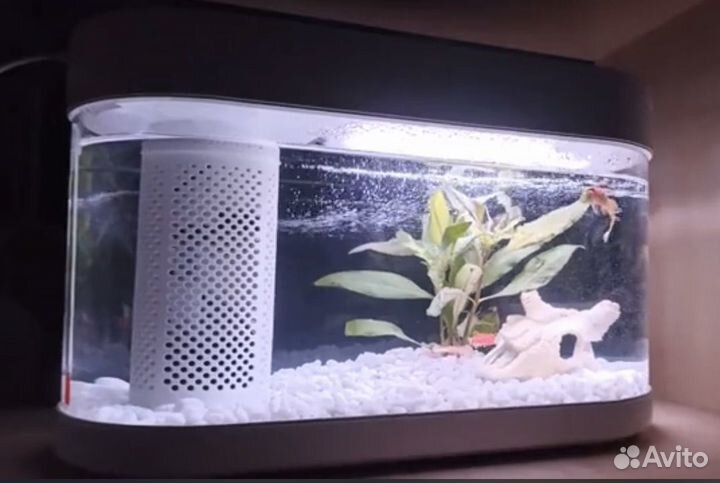Аквариум