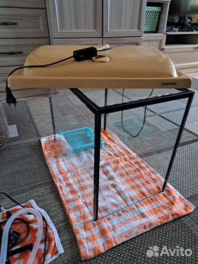 Аквариум вместе с содержимым