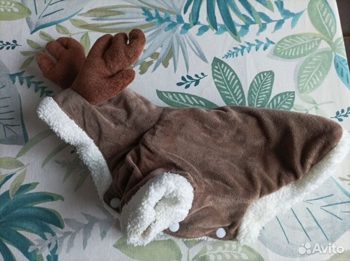 Одежда для маленьких собак