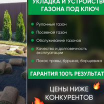 Укладка и устройство газона под ключ. Покос травы