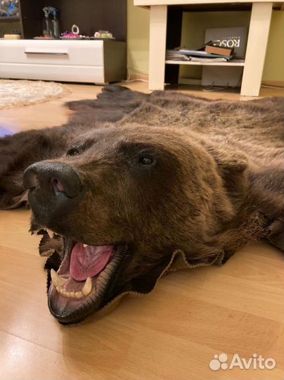 Медвежья шкура (Имитация )