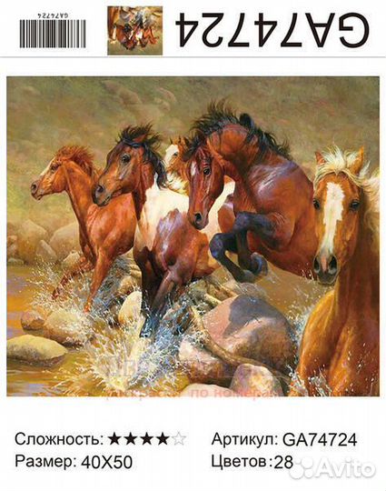 Алмазная мозаика 40x50 Галоп лошадей по горной рек