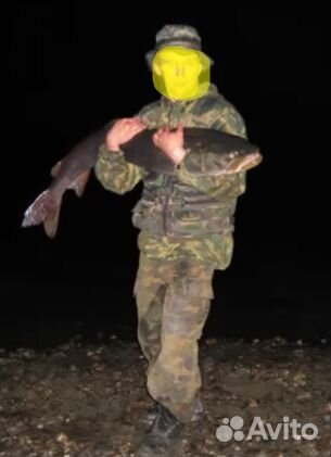 Уловистая Мышь приманка