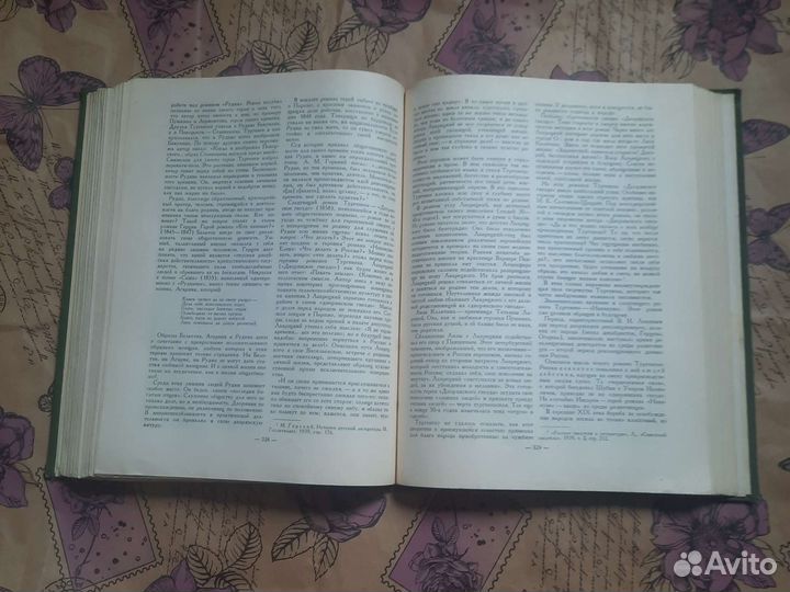 Классики русской литературы