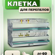 Клетка для перепелов на 60 голов (кп-60-2я), Солнечногорск