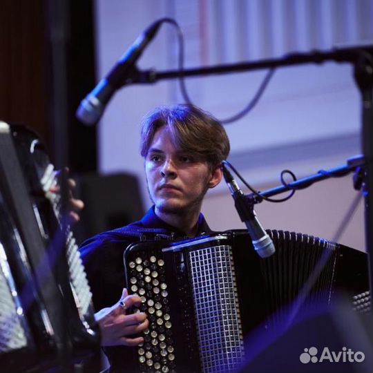 Баянист на праздник