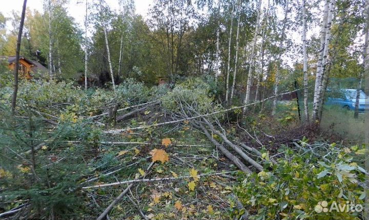 Спил дерева,покос травы