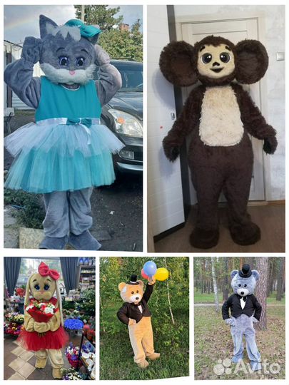 Мишка Тедди прокат на сутки