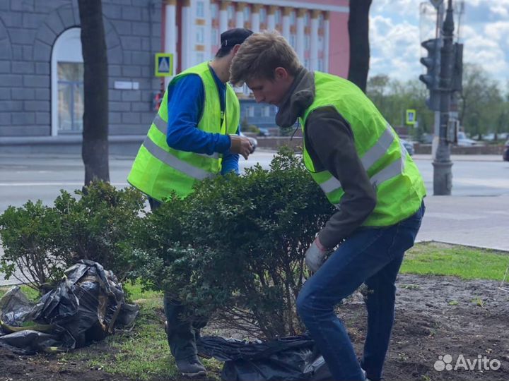 Разнорабочие, Подсобники, Бригада разнорабочих