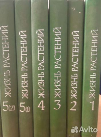 Жизнь растения 