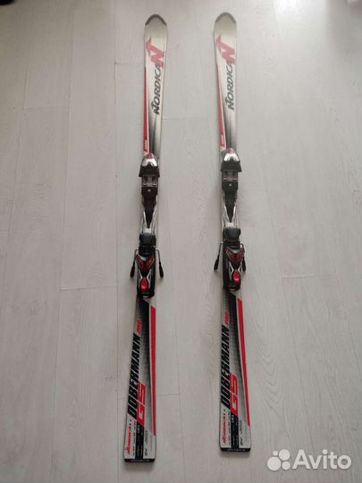 Горные лыжи