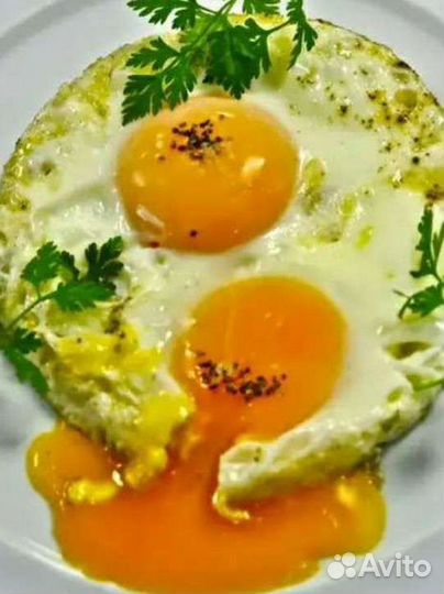 Домашнее яйцо