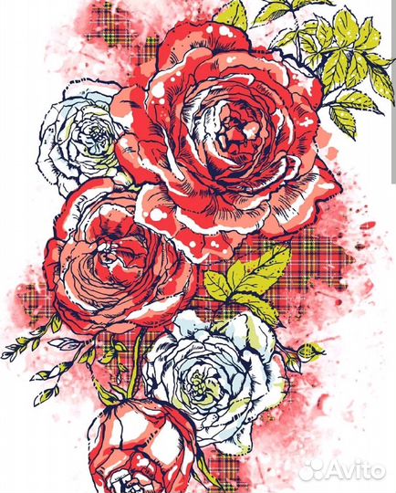 Иллюстратор, графический дизайнер, дизайнер-модель