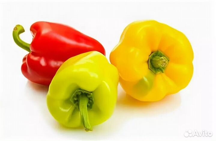 Перец болгарский свежий. Красный, жёлтый. Опт