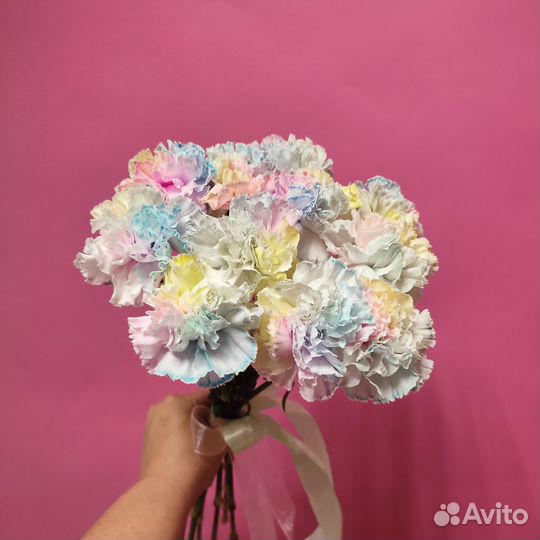 Диантусы радужные 11 шт