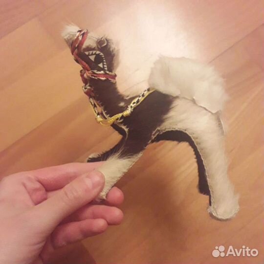 Фоторамка, бабочки,верблюд, веер, собака