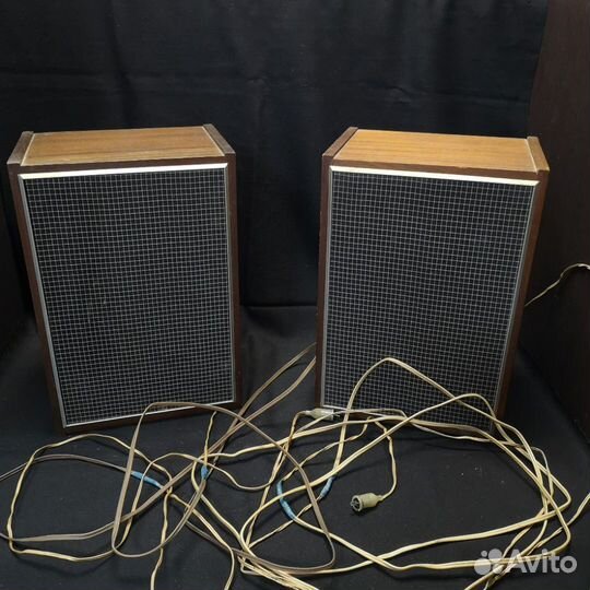 Акустическая система 10мас-1М