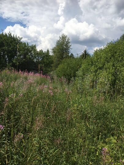 Участок 20 сот. (ИЖС)