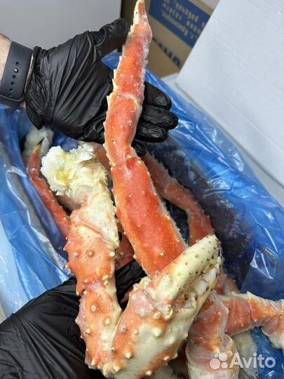 Клешни камчатского краба L3-L4