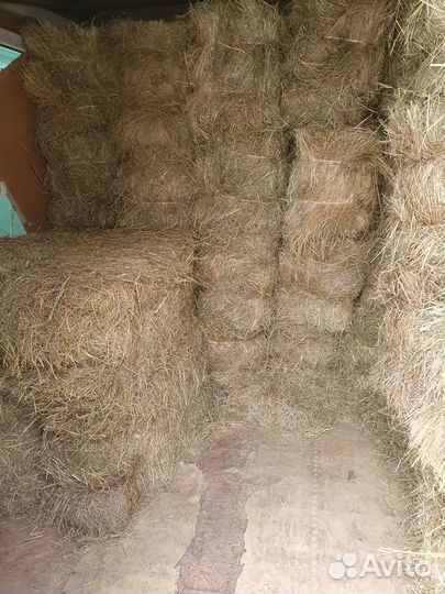 Сено В брикетах