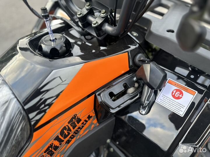 Новый квадроцикл TAO 200 NEW 2024